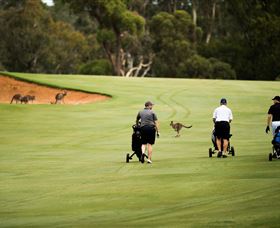 Federal Golf Club - Attractions Melbourne 0