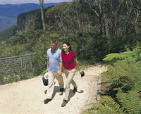 Blue Mountains Walking Tracks