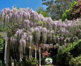 Nooroo Gardens - Attractions Melbourne 0
