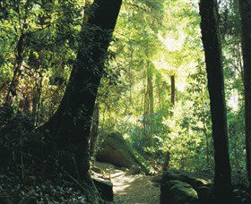 Blue Mountains National Park - Attractions Melbourne 5