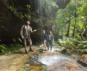 Blue Mountains National Park - Attractions Melbourne 3
