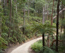 Blue Mountains National Park - Attractions Melbourne 8