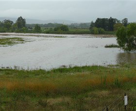 Jerrabomberra Wetlands - Attractions Melbourne 1