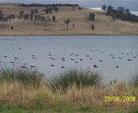 Lake Liddell Recreation Area - Attractions Melbourne 0