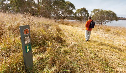 Lagoon Circuit Walking Track - Attractions Melbourne 2