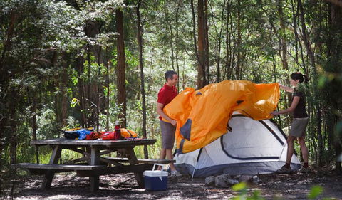 Bald Rock National Park - Attractions Melbourne 1