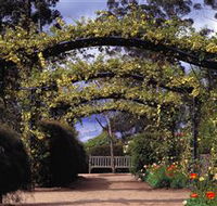 Blue Mountains Botanic Garden - Attractions Melbourne