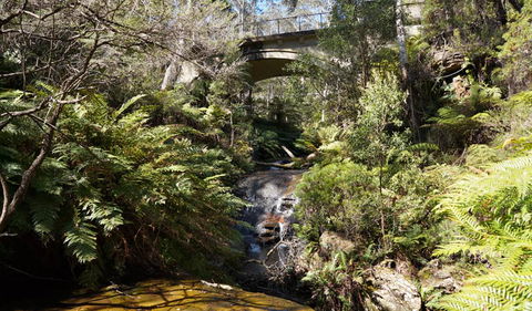 Leura Cascades Fern Bower - Attractions Melbourne 3