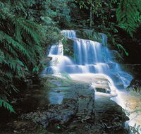 Leura Cascades - Attractions Melbourne