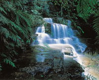 Book Leura Accommodation Vacations Attractions Melbourne Attractions Melbourne