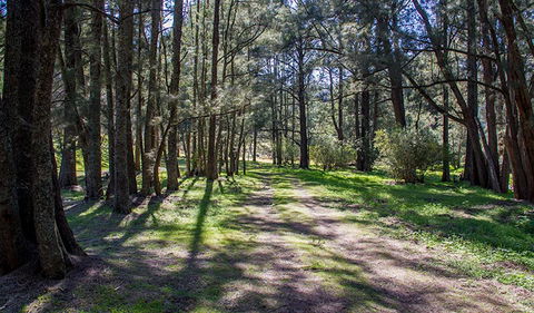 Wombeyan Waterfall Walking Track - Attractions Melbourne 0