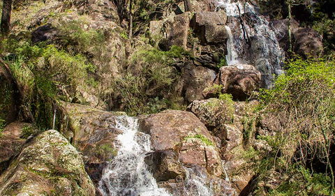 Wombeyan Waterfall Walking Track - Attractions Melbourne 3