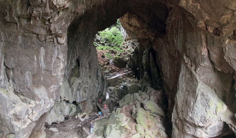 Fig Tree Cave - Attractions Melbourne 1