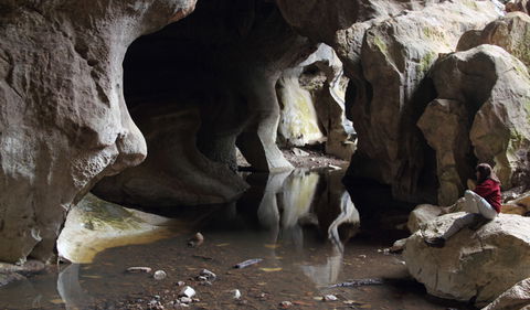 Fig Tree Cave - Attractions Melbourne 2