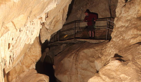 Fig Tree Cave - Attractions Melbourne 3