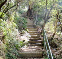 Nature track - Attractions Melbourne