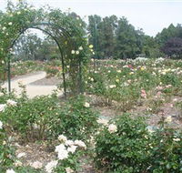 Victoria Park Rose Garden - Attractions Melbourne