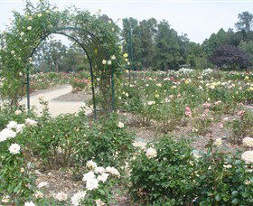 Victoria Park Rose Garden - Attractions Melbourne 0