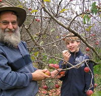 Pine Crest Orchard - Attractions Melbourne