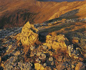Kosciuszko National Park - Charlottes Pass To Snowy River - Attractions Melbourne 1