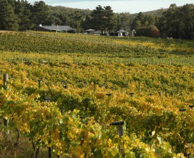 Lark Hill Biodynamic Winery - Attractions Melbourne 2
