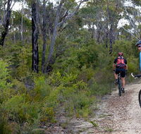 McMahon's Point ride - Wentworth Falls - Attractions Melbourne