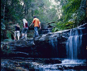 South Lawson Waterfall Circuit - Attractions Melbourne 0
