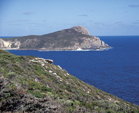 Bald Head Walking Track - Attractions Melbourne 0