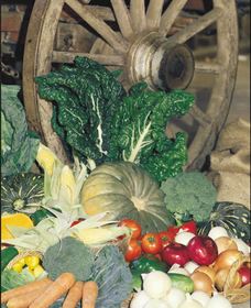 Mulgowie Real Farmers Markets - Attractions Melbourne 0