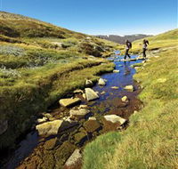 Australian Alps Walking Track - Attractions Melbourne