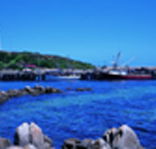 King Island Dairies - Attractions Melbourne
