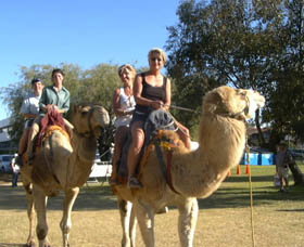 Calamunnda Camel Farm  - Attractions Melbourne 0