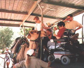 Calamunnda Camel Farm  - Attractions Melbourne 3