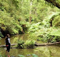 Morwell National Park - Attractions Melbourne