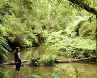 Morwell National Park