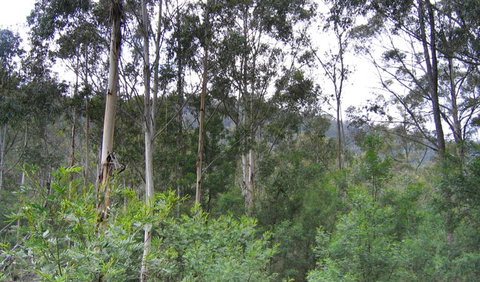 Bangadilly National Park - Attractions Melbourne 1