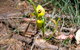 Bangadilly National Park - thumb 2