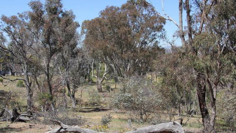 Remembrance Nature Park - Attractions Melbourne 2