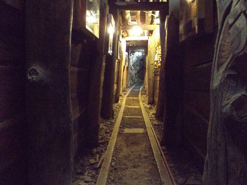 History Hill - Attractions Melbourne 5