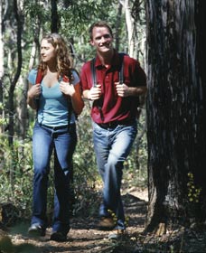 Bibbulmun Track - Attractions Melbourne 1