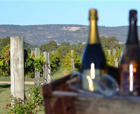 Ugly Duckling Wines - Attractions Melbourne 1