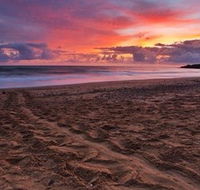 Mon Repos Beach - Attractions Melbourne