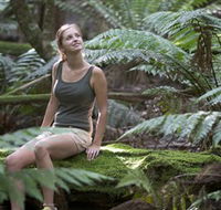 Barrington Tops National Park - Honeysuckle Forest Track - Attractions Melbourne