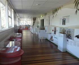 Kanyana Wildlife Rehabilitation Centre - Attractions Melbourne 1