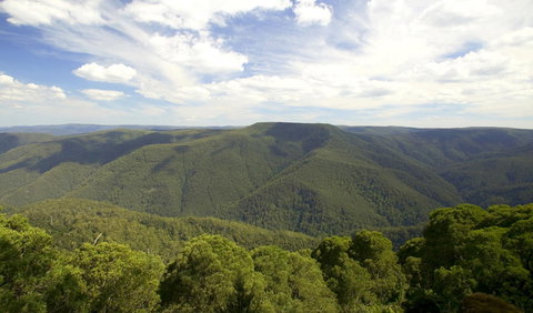 Barrington Tops National Park - Attractions Melbourne 0