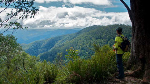 Barrington Tops National Park - Attractions Melbourne 3