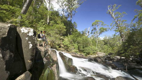 Barrington Tops National Park - Attractions Melbourne 2