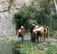 Yarramba Horse Riding - Attractions Melbourne
