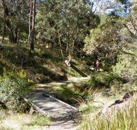Wollomombi walking track - Attractions Melbourne