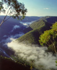 Long Point Lookout